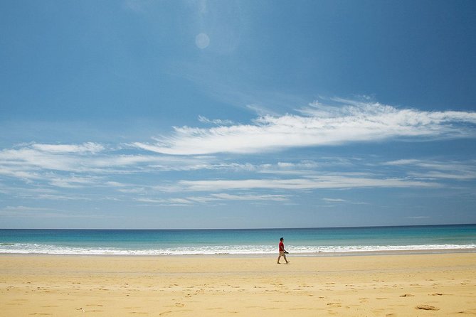 Porto Santo One-Day Cruise and Tour - Who should book this Porto Santo one-day cruise and tour