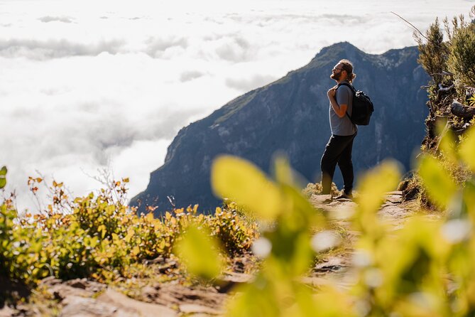 PR1 Pico do Arieiro Self-Guided Hiking Transfer (Morning slot) - Vereda do Burro on PR3: the downhill payoff