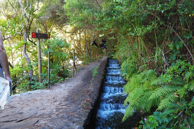 PR6 & PR6.1 25 Fontes & Risco Levada Self-Guided Hiking Rabaçal - Stop 1: 25 Fontes and Cascada da Risco, Where the Water Becomes the Main Character