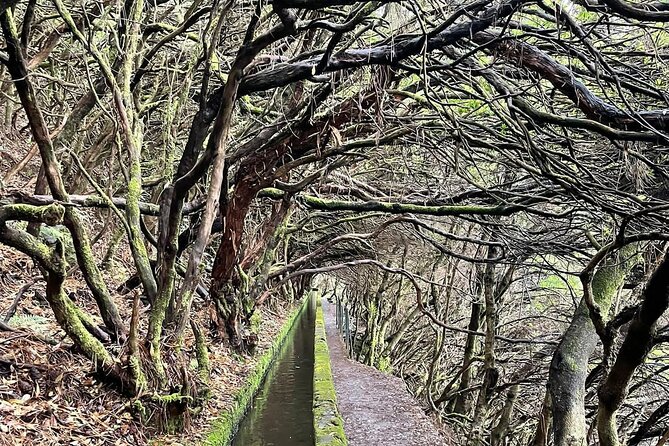 PR6 & PR6.1 25 Fontes & Risco Levada Self-Guided Hiking Rabaçal - 5 Hours on PR6 and PR6.1: How the Timing Helps You Beat the Crowds