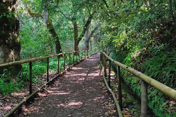 PR9 Caldeirão Verde Queimadas Levada Self-Guided Hiking Transfer - Key highlights before you lace up