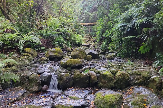 PR9 Caldeirão Verde Queimadas Levada Self-Guided Hiking Transfer - The Caldeirão Verde setup: levadas, waterfalls, and a day that starts easy