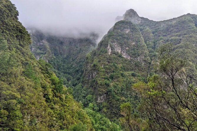 PR9 Caldeirão Verde Queimadas Levada Self-Guided Hiking Transfer - The start area at Queimadas: café stop, small museum, and gardens