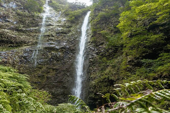 PR9 Caldeirão Verde Queimadas Levada Self-Guided Hiking Transfer - What to pack so you don’t fight the trail