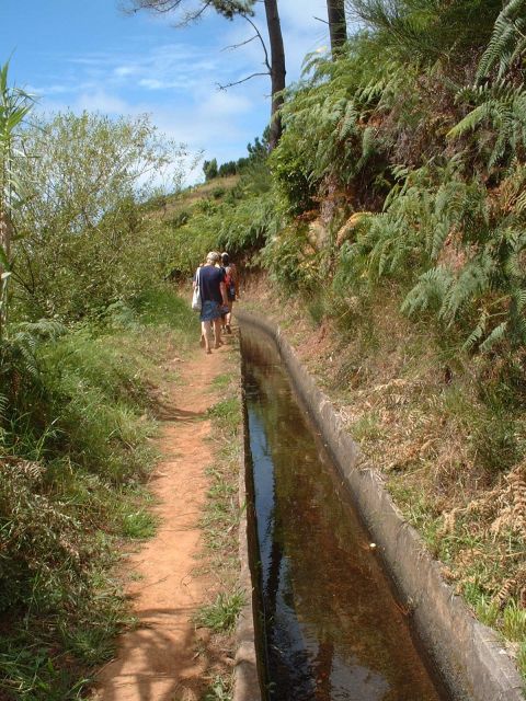 Prazeres: Full-Day Nature Walk - Key highlights you’ll actually care about