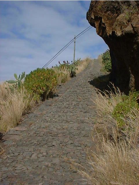Prazeres: Full-Day Nature Walk - Prazeres levada walking: gardens, agriculture, and practical guide talk