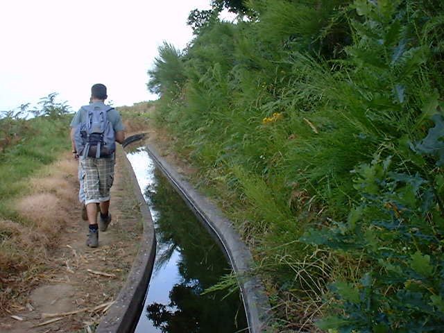 Prazeres: Full-Day Nature Walk - Coffee stops you can plan around, and why snacks matter