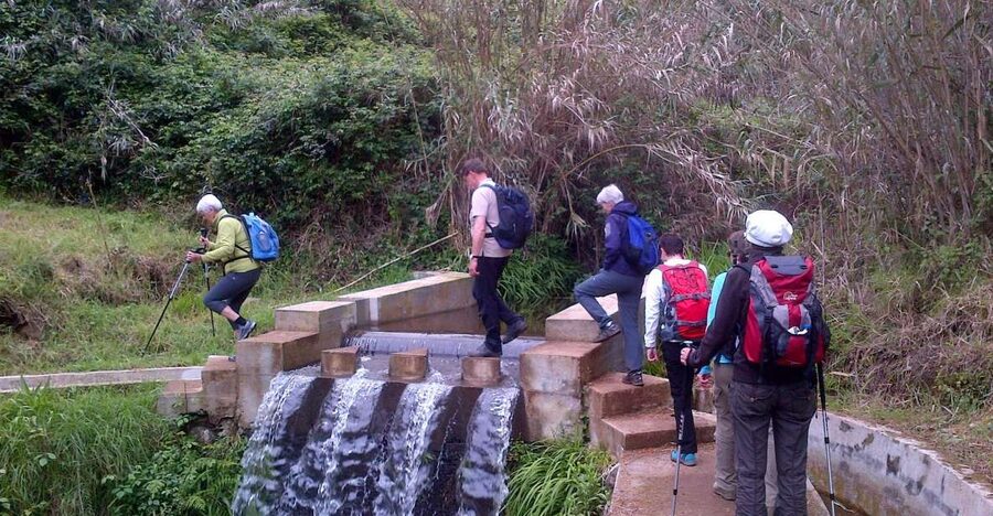 Prazeres: Full-Day Nature Walk - The pickup ride, then the moment you start walking