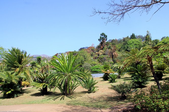 Private Botanical Garden Tour - Why this Funchal tour works: steep hills, easy pace