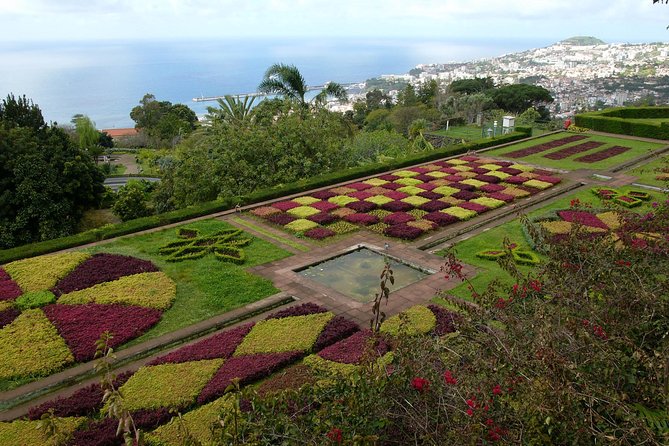 Private Botanical Garden Tour - First stop: the famous central market of Funchal