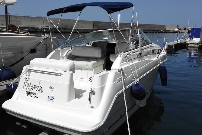 Private Dolphin and Whale Watching Tour in Madeira - On board: what’s included that actually changes your day