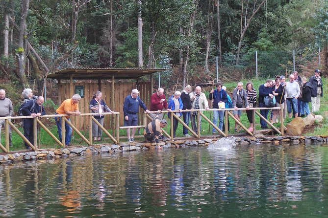Private Full Day 4X4 Experience: East or West - Biosphere-Certified Care, Safety Steps, and Ride Comfort