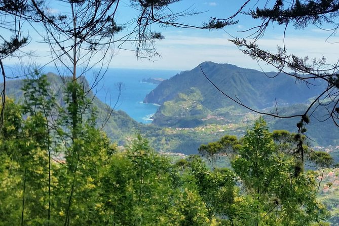Private Full Day Off-Road Tour in Madeira - Ponta do Sol and the climb to 1,500m above the clouds