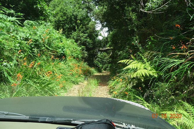 Private Full Day Off-Road Tour in Madeira - Porto Moniz Natural Swimming Pools, lunch, and the north coast cliffs