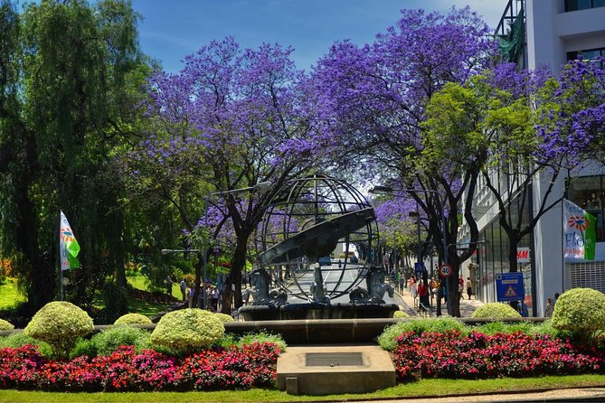 Private Funchal City Tour by Tukxi - Photo ops and backstreet routes: the real payoff