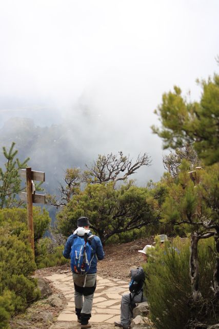 Private - Gastro Hike with Levada Walk and Local Food - Levadas Walking: Quieter Trails, Real Mountain Nature