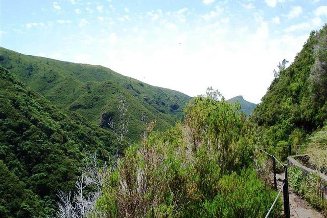 Private Guided Walk Levada 25 Fontes - Why Levada 25 Fontes feels special in Madeira
