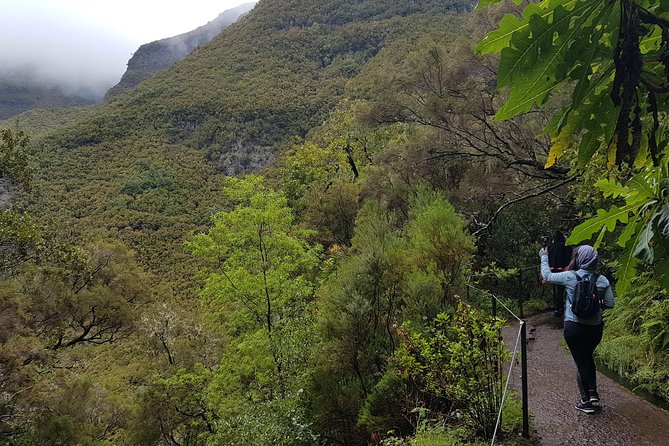 Private Guided Walk Levada 25 Fontes - The walk at 25 Fontes and Cascada da Risco: what to expect