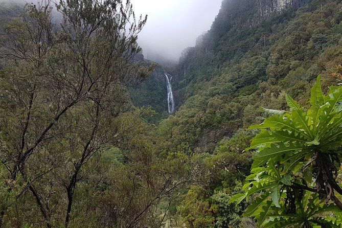 Private Guided Walk Levada 25 Fontes - Timing, weather, and what to wear for comfort