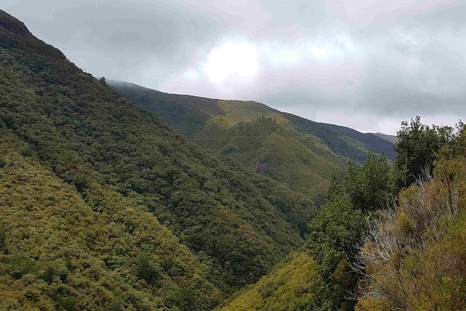 Private Guided Walk Levada 25 Fontes - Price and value: is $107.84 per person fair?