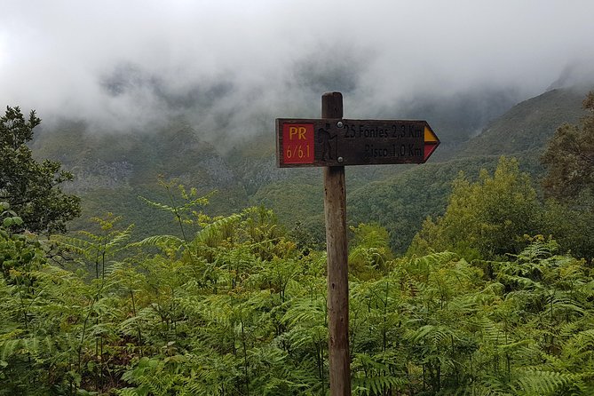 Private Guided Walk Levada 25 Fontes - Food, lunch options, and pacing your afternoon