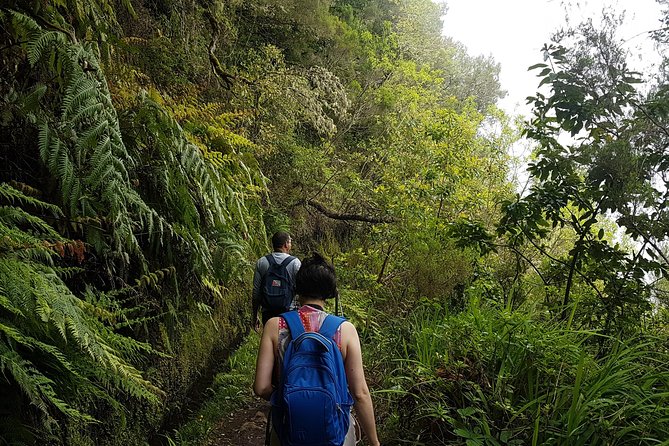 Private Guided Walk Levada Caldeirao Verde - How Long It Really Takes, and When the Walk Feels Tough