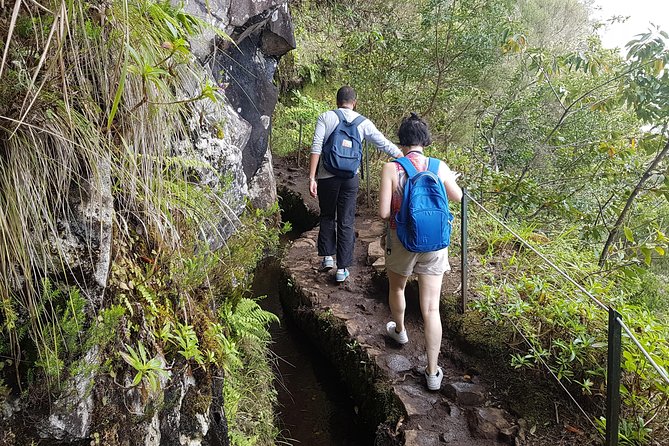 Private Guided Walk Levada Caldeirao Verde - Door-to-Door Pickup, Wi-Fi Vehicle, and Onboard Live Commentary