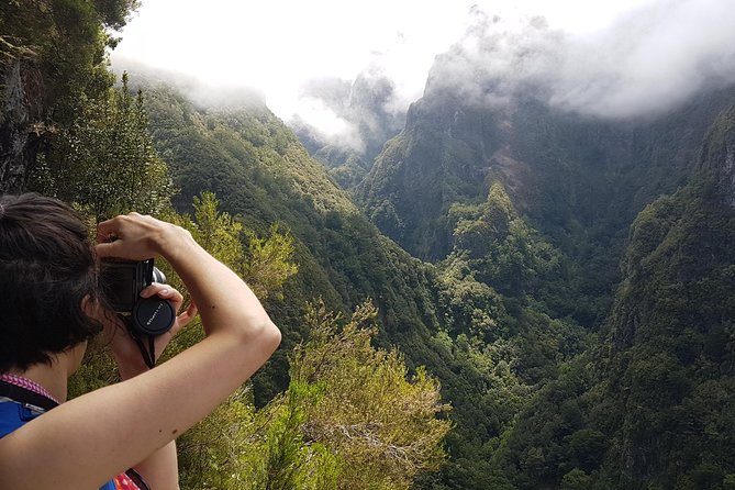 Private Guided Walk Levada Caldeirao Verde - What’s Included, What’s Not, and How That Changes Your Day