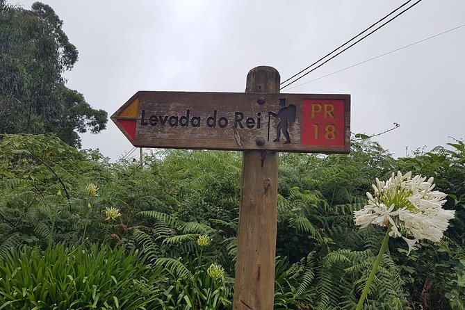 Private Guided Walk Levada do Rei - Getting from Funchal to the trail is part of the value