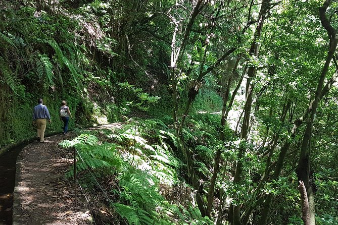 Private Guided Walk Levada do Rei - Price and value: is $80.67 per person fair?