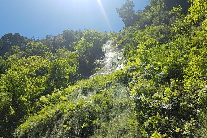 Private Guided Walk Levada do Rei - Weather-ready planning: what all-weather operations means for you