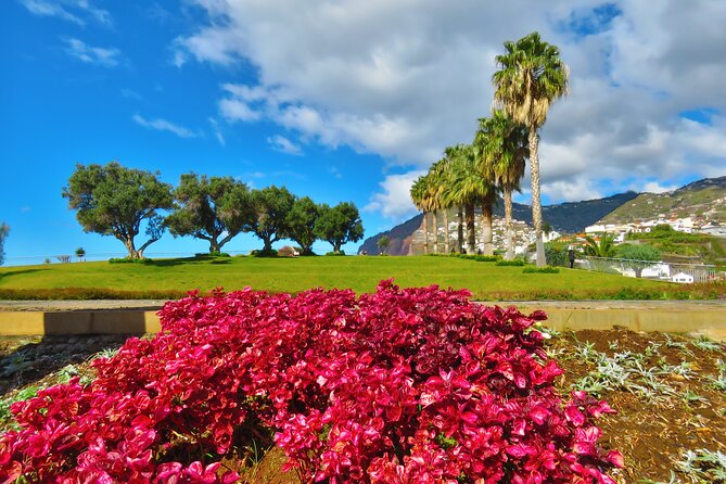 Private Half-Day Morning 4x4 Tour from Funchal - Getting Picked Up in Funchal: Smooth Start, One Possible Extra Fee