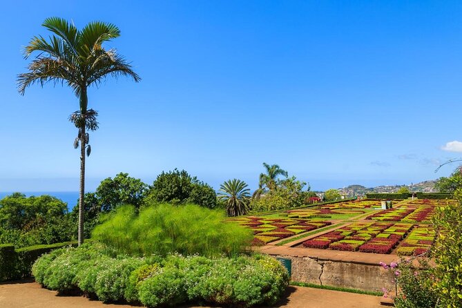 Private Half day tour around Madeira Island - Key highlights worth planning for