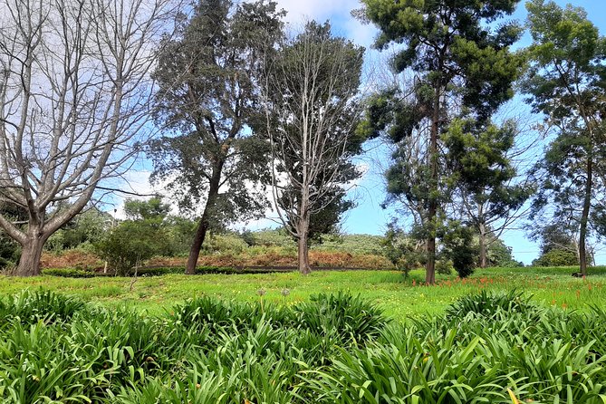 Private Halfday Flower Palheiro Gardens Tour - Hortensia Gardens Tea House, Apple Pie, and Panoramic Funchal Views