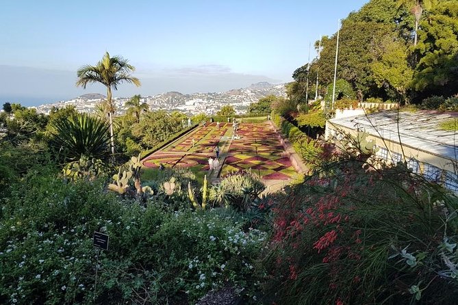 Private Halfday Madeira Garden Tour - Monte Palace Tropical Garden: plants, Portugal ties, and exotic birds