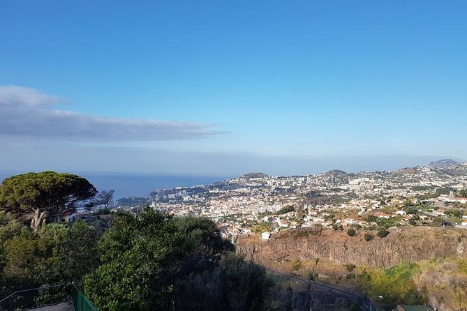 Private Halfday Madeira Garden Tour - Who should book this tour, and who might want a different plan