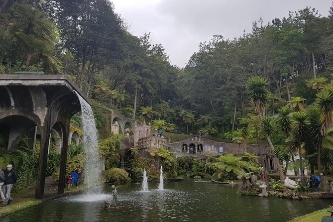 Private Halfday Madeira Garden Tour - Madeira Botanical Garden: where your second two hours shift the focus