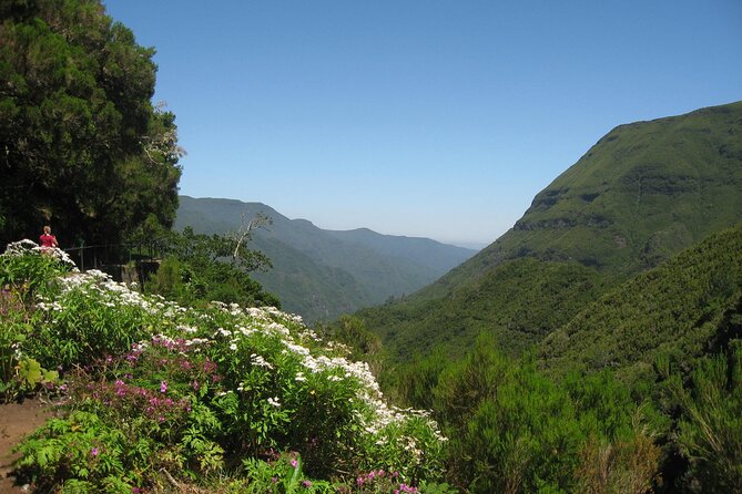 Private Madeira tour 8 people - Gastronomy stops that fit a half-day schedule