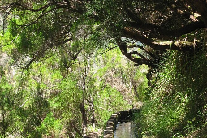 Private Madeira tour 8 people - Price and value: when $372.34 for up to 8 feels fair