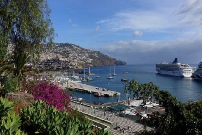 Private: Maderia Island Tour & Famous Monte Toboggan Ride - Price and Logistics: Where the Money Goes, and When It Feels Worth It