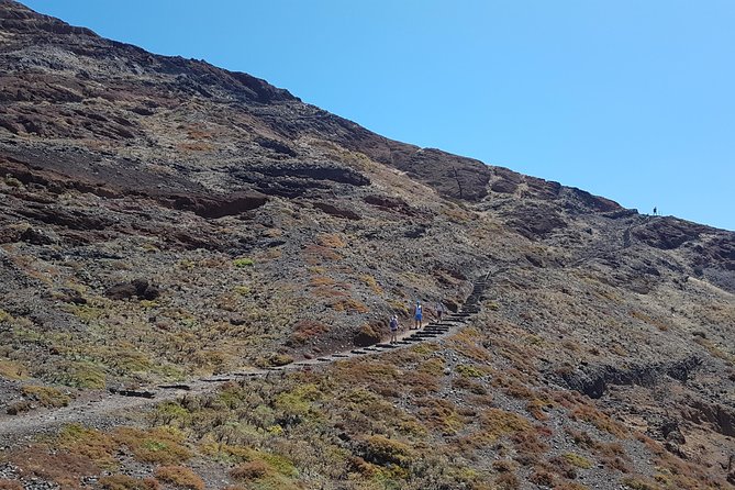 Private Ponta São Lourenço Walk and Boat Return - The 4-hour walking portion: what to expect on the ground