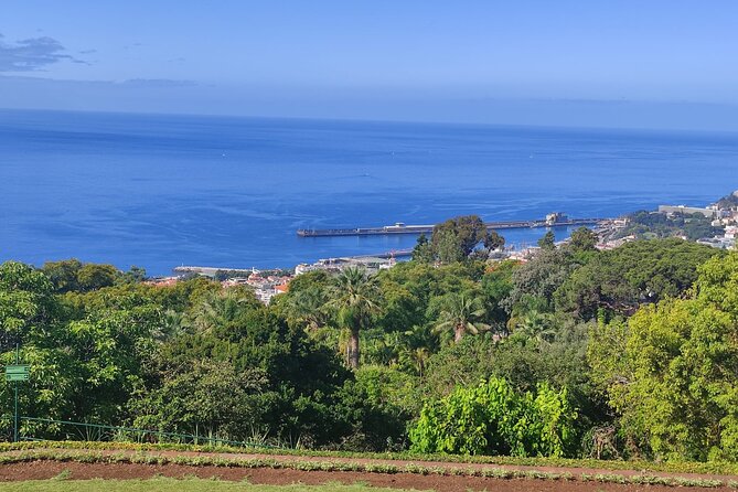 Private Sidecar Tour – Downtown Funchal for 1 or 2 People - The Market of Farmers stop: taste the everyday side of Madeira