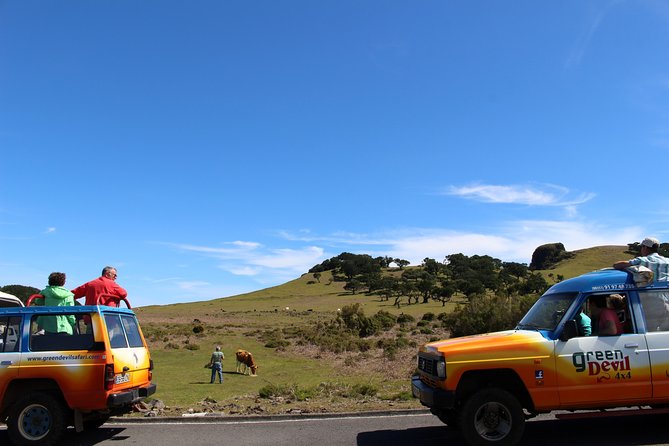 Private Small Group Full Day 4x4 Tour in Northwest Madeira - Serra de Água and Encumeada: viewpoints that set the tone