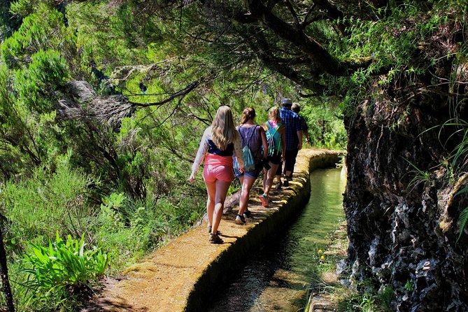 Private Small Group Full Day 4x4 Tour in Northwest Madeira - Ilhéus da Ribeira da Janela: dramatic coast without the bus crowd