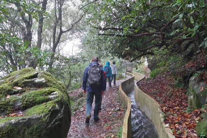 Private Sunrise Guided hike on Pico do Areeiro or other custom - Pickup From Funchal and Caniço, and the Value of Door-to-Trail Time