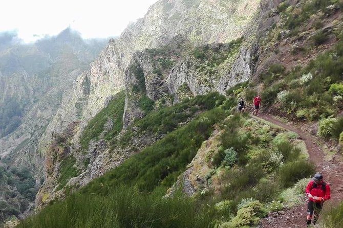 Private Sunrise Guided hike on Pico do Areeiro or other custom - Weather Reality: Dress for Mountains, Not Just Madeira Beach Time