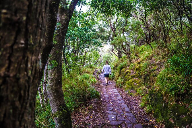 Private Sunrise Pico do Areeiro Half Day with easy levada walk - Balcões de Ribeiro Frio and the way the day keeps its pace