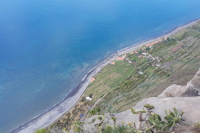 Private Tour Halfday South Madeira - Price and Value: How $142.30 per Group Makes Sense