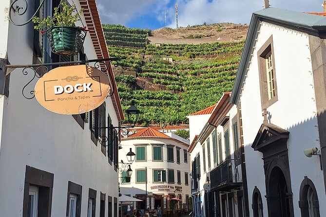 Private Tour Skywalk and Valley of the Nuns - Câmara de Lobos: fishing village charm in a 15-minute reset
