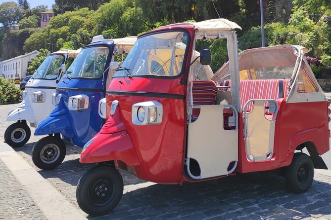 Private Tuk Tuk Tour to Old Town + Monte in Funchal - Price and Value, Including the Extra Toboggan Ticket